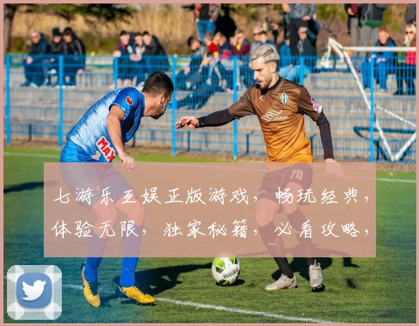 七游乐互娱正版游戏，畅玩经典，体验无限，独家秘籍，必看攻略，三重惊喜，不容错过