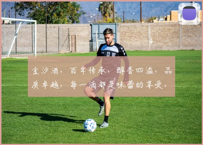 金沙酒，百年传承，醇香四溢，品质卓越，每一滴都是味蕾的享受，尽在金沙酒